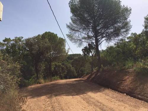 imagen 1 de Venta de finca en Sierra de Córdoba (Córdoba)