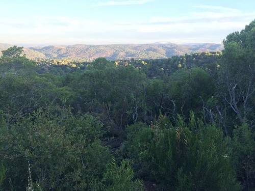 imagen 1 de Venta de finca en Sierra de Córdoba (Córdoba)