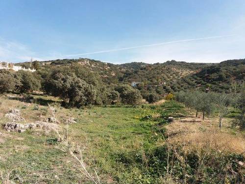 imagen 1 de Venta de finca en Cabra (Córdoba)