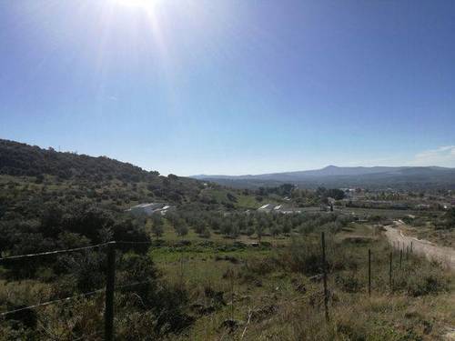 imagen 3 de Venta de finca en Cabra (Córdoba)