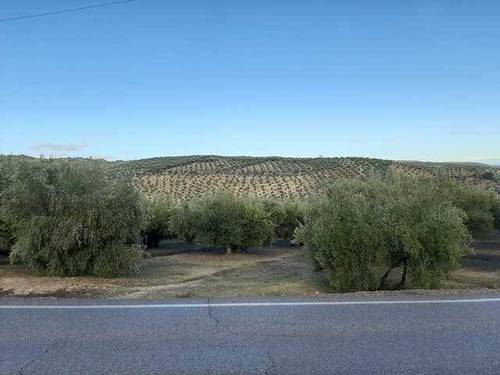 imagen 1 de Venta de finca olivar en Zuheros (Córdoba)