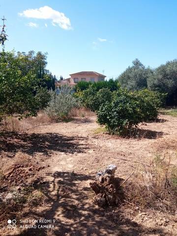 imagen 1 de Venta de estupenda parcela en Palma del Río (Córdoba)