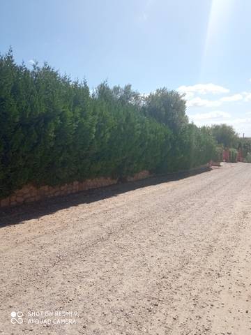 imagen 2 de Venta de estupenda parcela en Palma del Río (Córdoba)