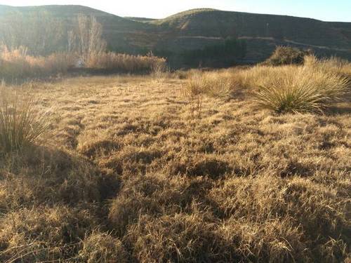 imagen 1 de Venta de parcela en Barajas de Melo (Cuenca)