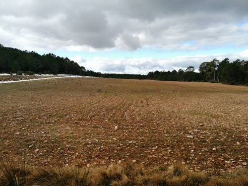 imagen 1 de Venta de finca en Talayuelas (Cuenca)