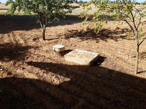 imagen 1 de Venta de finca de frutales en Tarancón (Cuenca)