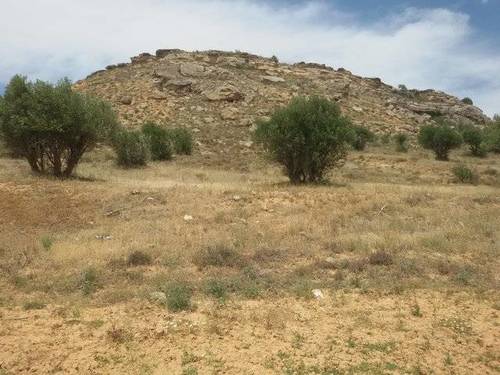 imagen 1 de Venta de finca en Bonilla (Cuenca)