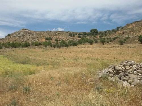 imagen 1 de Venta de finca en Bonilla (Cuenca)