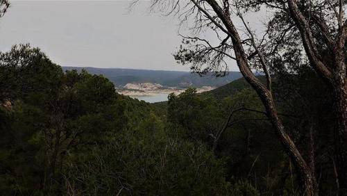 imagen 2 de Venta de estupenda finca en La Pesquera (Cuenca)