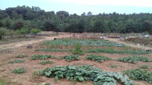 imagen 1 de Venta de gran finca en Brunyola/Bruñola (Gerona)