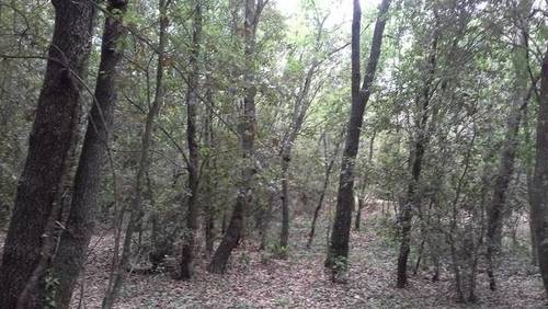 imagen 2 de Venta de gran finca en Brunyola/Bruñola (Gerona)