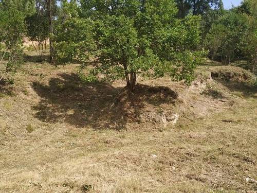 imagen 1 de Venta de terreno en Maçanet/Massanet de La Selva (Gerona)