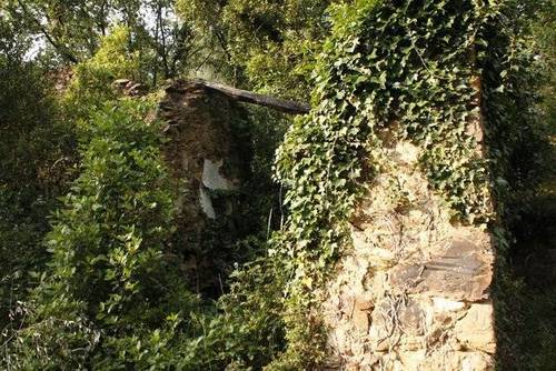 imagen 1 de Venta de finca en Anglés (Gerona)