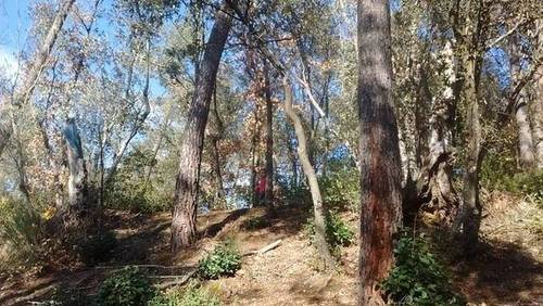 imagen 2 de Venta de finca en Anglés (Gerona)