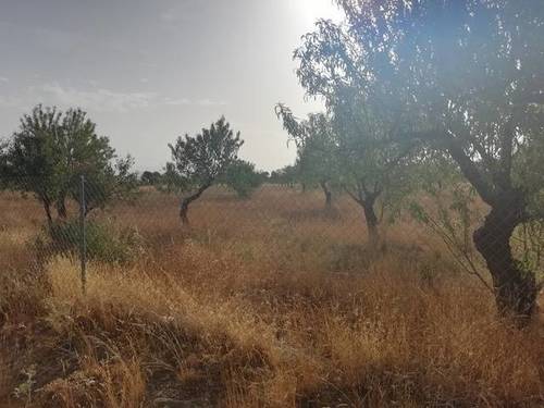 imagen 1 de Venta de finca en Jerez del Marquesado (Granada)