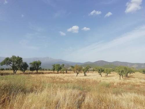 imagen 2 de Venta de finca en Jerez del Marquesado (Granada)