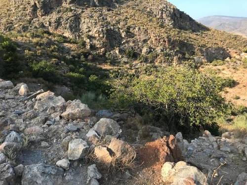 imagen 2 de Venta de magnífico terreno en Gualchos (Granada)