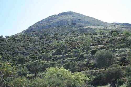imagen 3 de Venta de finca en Cogollos de la Vega (Granada)