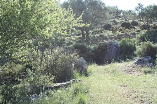 imagen 1 de Venta de finca en Cogollos de la Vega (Granada)