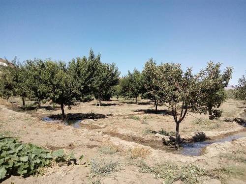 imagen 3 de Venta de estupendo terreno en Guadix (Granada)