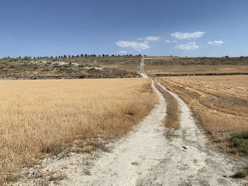 imagen 1 de Venta de finca en Cúllar (Granada)