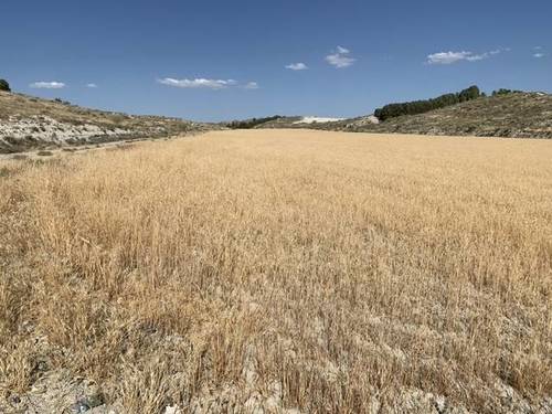 imagen 1 de Venta de finca en Cúllar (Granada)