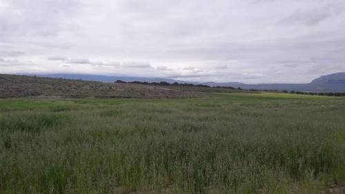 imagen 3 de Venta de finca en Cúllar (Granada)