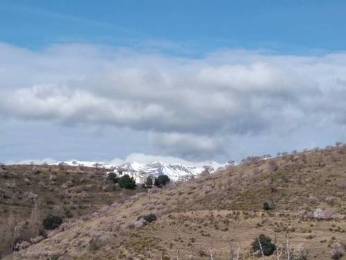 imagen 2 de Venta de finca en Torvizcón (Granada)