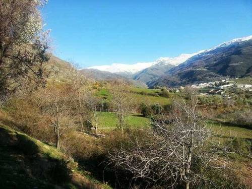 imagen 4 de Venta de estupenda finca en Güejar Sierra (Granada)