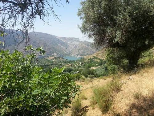 imagen 2 de Venta de estupenda finca en Güejar Sierra (Granada)