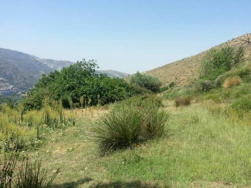imagen 3 de Venta de estupenda finca en Güejar Sierra (Granada)