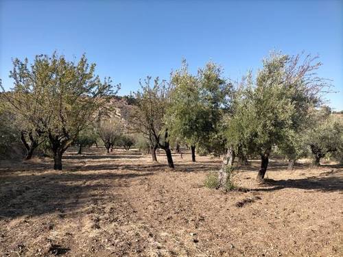 imagen 1 de Venta de terreno en Monachil (Granada)