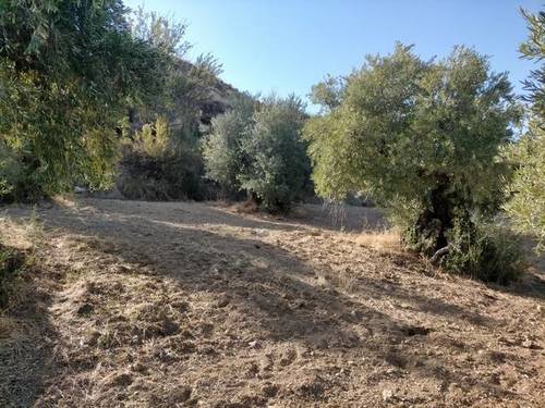 imagen 2 de Venta de terreno en Monachil (Granada)