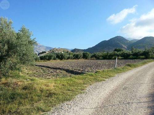 imagen 1 de Venta de olivar en Castril (Granada)