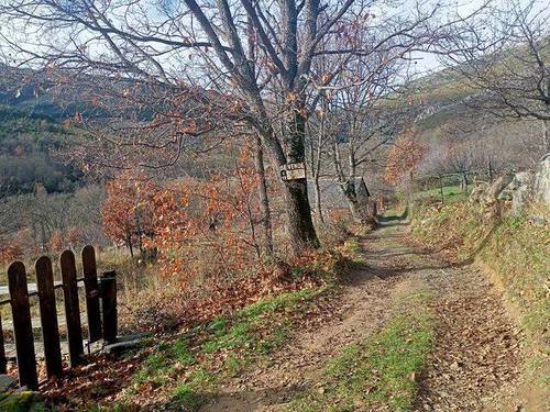 imagen 1 de Venta de parcela en Valverde de los Arroyos (Guadalajara)