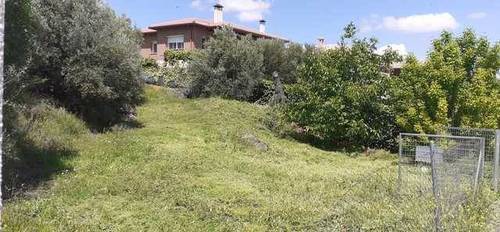 imagen 1 de Venta de parcela en Jadraque (Guadalajara)