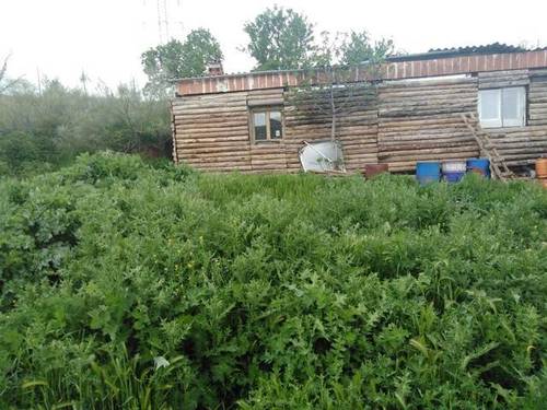 imagen 1 de Venta de terreno en Pozo de Guadalajara (Guadalajara)