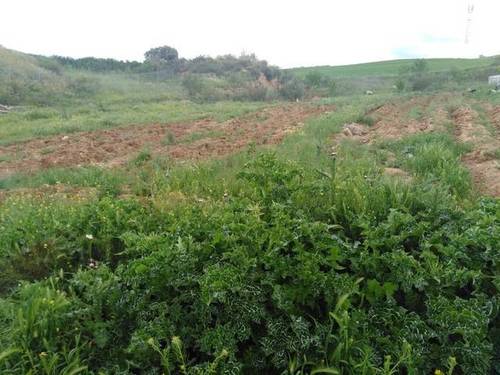 imagen 1 de Venta de terreno en Pozo de Guadalajara (Guadalajara)