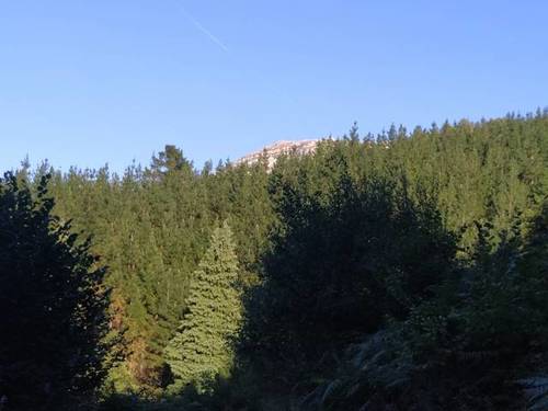 imagen 3 de Venta de terreno en Eskoriatza/Escoriaza (Guipúzcoa)