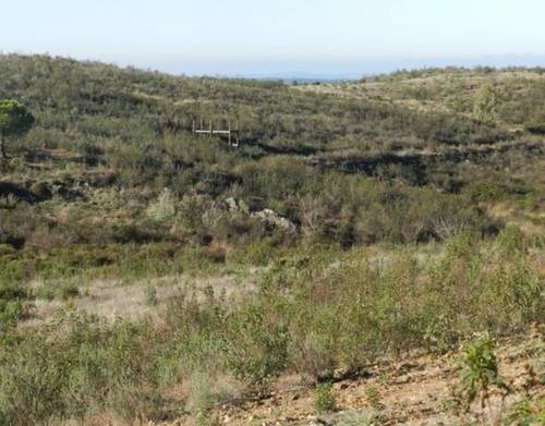 imagen 1 de Venta de magnífica finca en Valverde del Camino (Huelva)