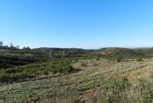 imagen 2 de Venta de magnífica finca en Valverde del Camino (Huelva)