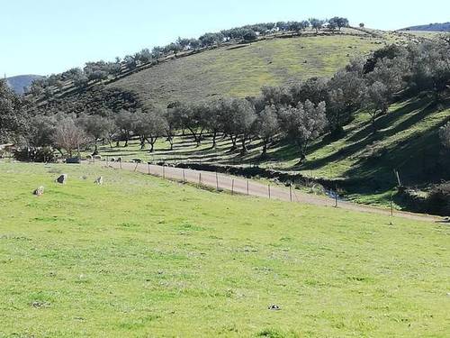imagen 1 de Venta de estupenda finca en Cumbres Mayores (Huelva)
