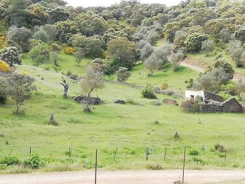 imagen 1 de Venta de estupenda finca en Cumbres Mayores (Huelva)