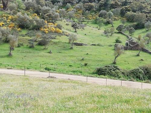 imagen 2 de Venta de estupenda finca en Cumbres Mayores (Huelva)