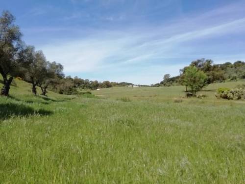 imagen 4 de Venta de estupenda finca en Cumbres Mayores (Huelva)