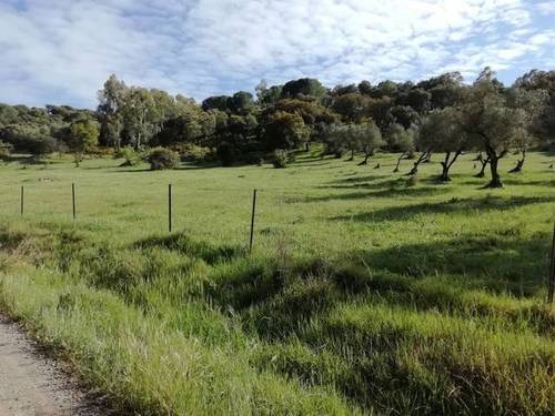 imagen 2 de Venta de finca en Cumbres Mayores (Huelva)