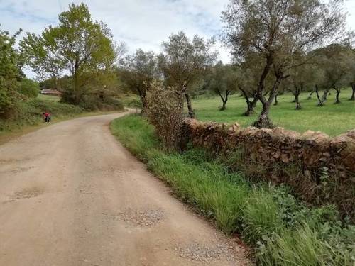 imagen 1 de Venta de finca en Cumbres Mayores (Huelva)