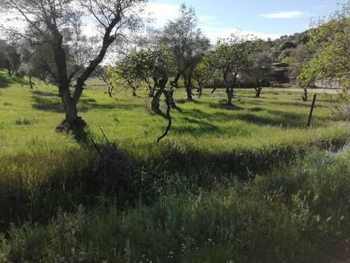 imagen 1 de Venta de preciosa finca en Cumbres Mayores (Huelva)