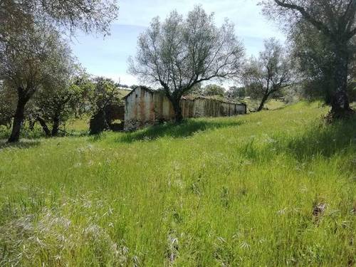 imagen 1 de Venta de preciosa finca en Cumbres Mayores (Huelva)