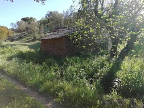 imagen 2 de Venta de preciosa finca en Cumbres Mayores (Huelva)